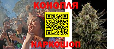 крисы Бузулук