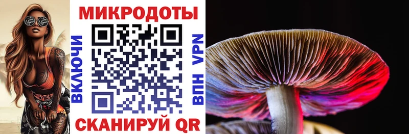 Галлюциногенные грибы Psilocybe  блэк спрут рабочий сайт  Ахтубинск 