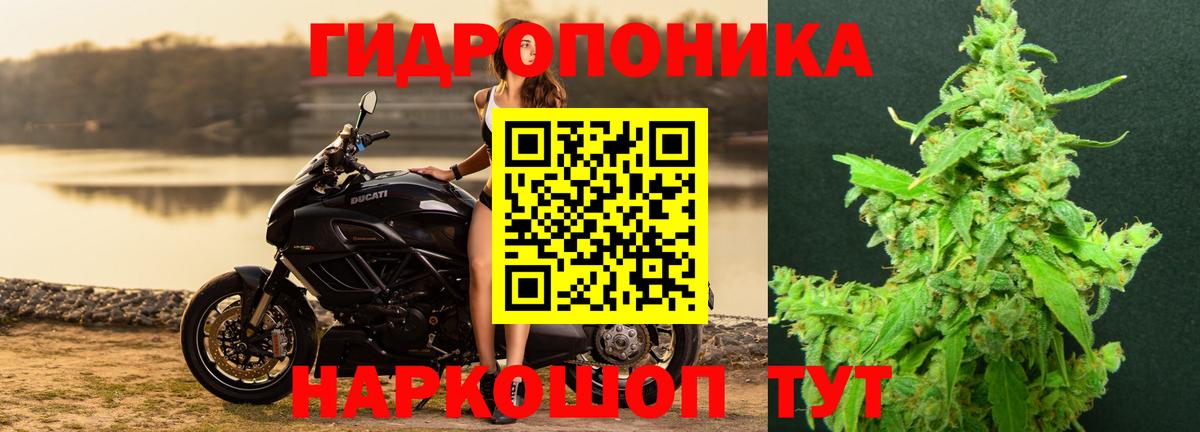 Ахтубинск  Шишки марихуана SATIVA & INDICA  Конопля Ganja  Шишки марихуана MAZAR  Вход с VPN 